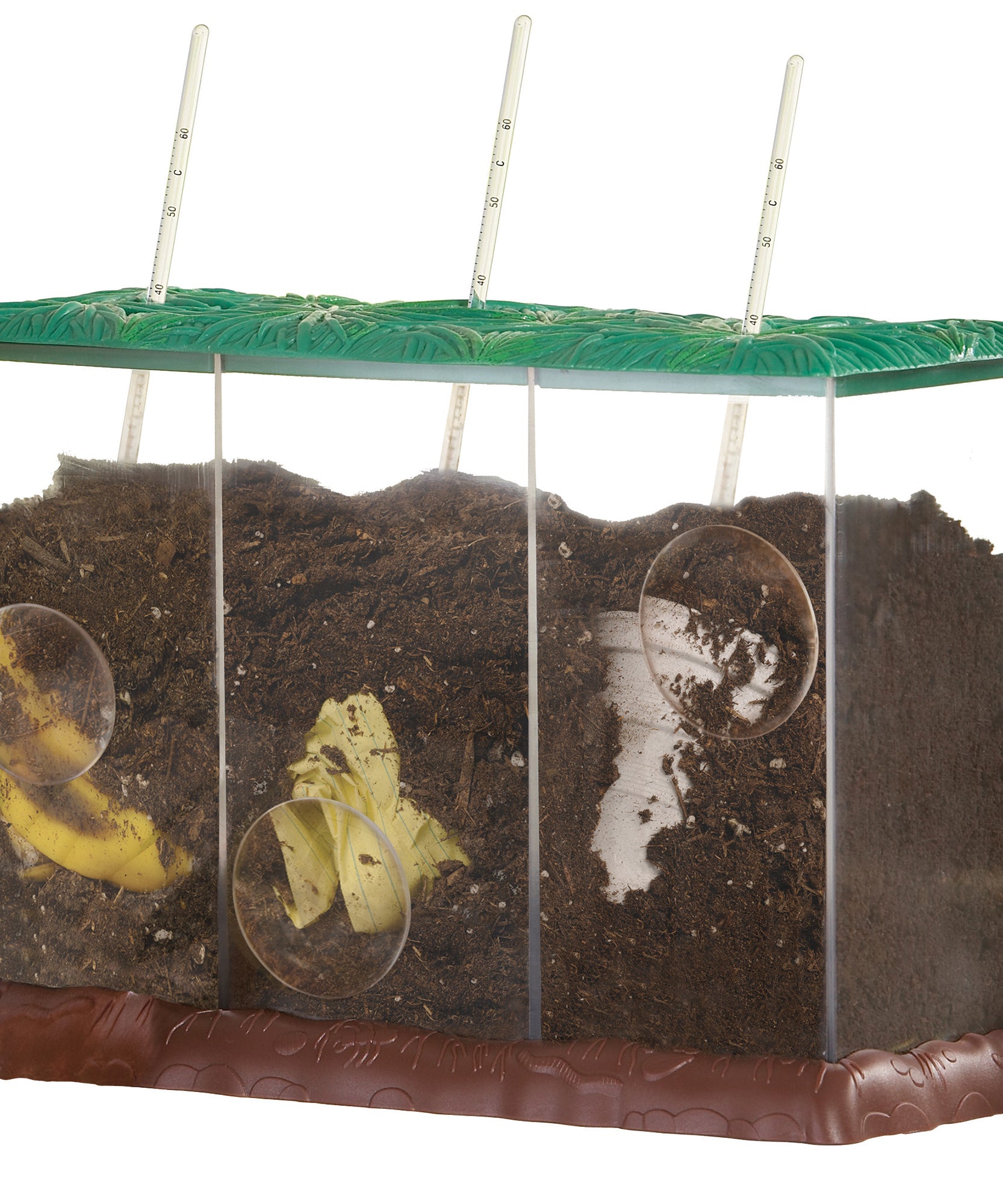 Learning Resources Now You See It, Now You Don’t See-Through Compost Container, Interactive Decomposition Learning Kit, STEM Educational Resource, Ages 4+