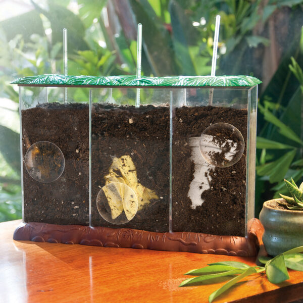 Learning Resources Now You See It, Now You Don’t See-Through Compost Container, Interactive Decomposition Learning Kit, STEM Educational Resource, Ages 4+