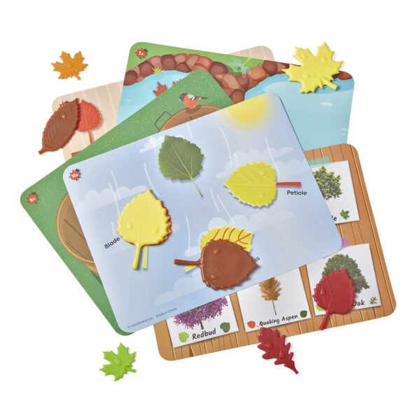 Learning Resources Sensory Leaves Math Activity Set, 36 Leaf-Shaped Counters and 10 Activity Cards, Early Math and Pattern Play, Made from 100 Percent Recycled Plastic, Ages 3+