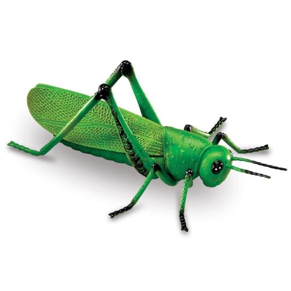 Learning Resources Jumbo Insects Toy Set, 7-Piece Realistic Bug Figures for Kids Imaginative Play and Early Learning