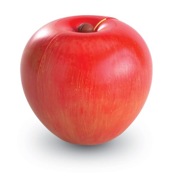 Learning Resources Magnetic Apple Fractions, Hands-On Learning Tool for Teaching Fractions, Equivalencies, and Basic Math Concepts