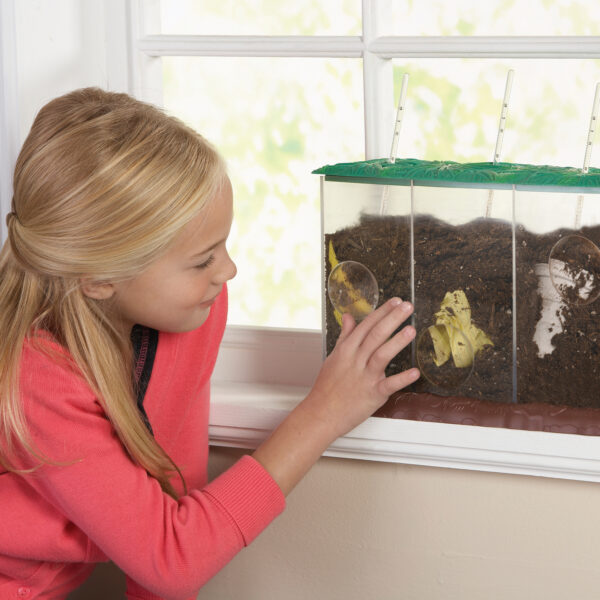 Learning Resources Now You See It, Now You Don’t See-Through Compost Container, Interactive Decomposition Learning Kit, STEM Educational Resource, Ages 4+
