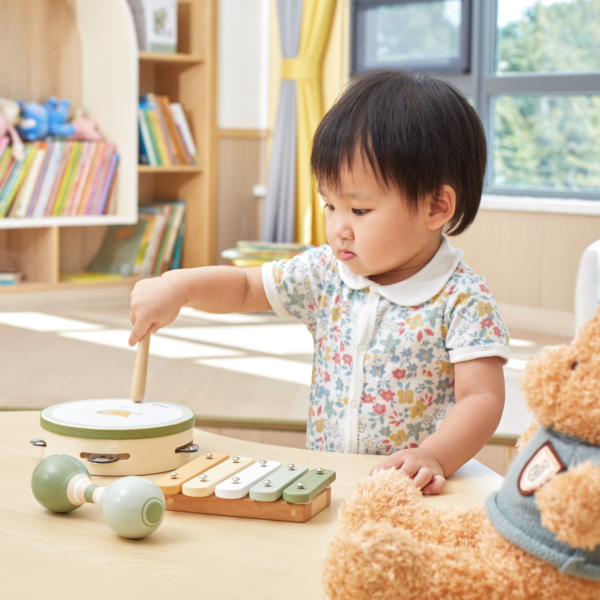 PolarB Bird Wooden Music Set for Toddlers, Includes Tambourine, Maracas and Xylophone, Musical Instrument Toy Kit for Early Learning and Creative Play, 18 Months and Up