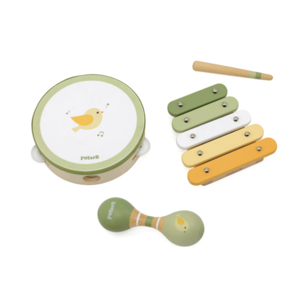PolarB Bird Wooden Music Set for Toddlers, Includes Tambourine, Maracas and Xylophone, Musical Instrument Toy Kit for Early Learning and Creative Play, 18 Months and Up