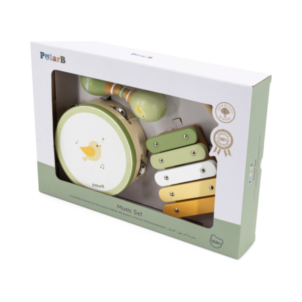 PolarB Bird Wooden Music Set for Toddlers, Includes Tambourine, Maracas and Xylophone, Musical Instrument Toy Kit for Early Learning and Creative Play, 18 Months and Up