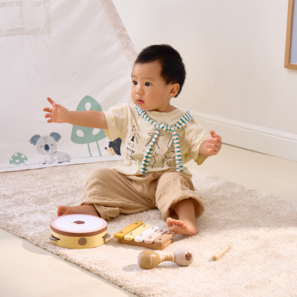 PolarB Hedgehog Wooden Music Set for Toddlers, Includes Tambourine, Maracas and Xylophone, Musical Instrument Toy Kit for Early Learning and Creative Play, 18 Months and Up