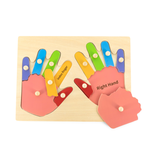 Viga Hands & Fingers, 12 Piece Knob Puzzle, Montessori Wooden Toy, Develops Sensory, Cognitive & Fine Motor Skills, Non-Toxic & Eco-friendly Kids Educational Toy, Suitable for Children Aged 18M+