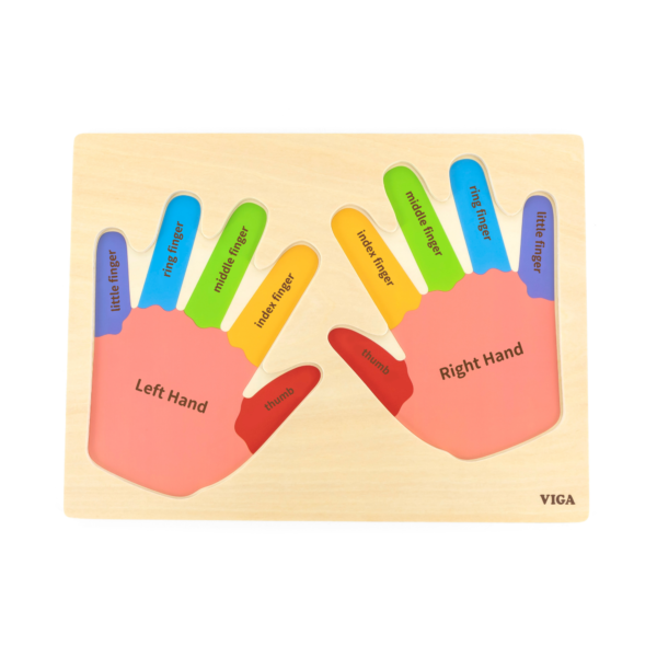 Viga Hands & Fingers, 12 Piece Knob Puzzle, Montessori Wooden Toy, Develops Sensory, Cognitive & Fine Motor Skills, Non-Toxic & Eco-friendly Kids Educational Toy, Suitable for Children Aged 18M+
