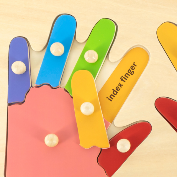 Viga Hands & Fingers, 12 Piece Knob Puzzle, Montessori Wooden Toy, Develops Sensory, Cognitive & Fine Motor Skills, Non-Toxic & Eco-friendly Kids Educational Toy, Suitable for Children Aged 18M+