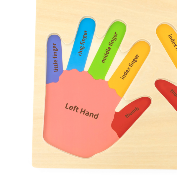 Viga Hands & Fingers, 12 Piece Knob Puzzle, Montessori Wooden Toy, Develops Sensory, Cognitive & Fine Motor Skills, Non-Toxic & Eco-friendly Kids Educational Toy, Suitable for Children Aged 18M+