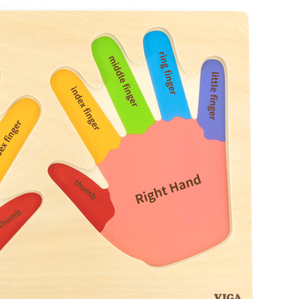 Viga Hands & Fingers, 12 Piece Knob Puzzle, Montessori Wooden Toy, Develops Sensory, Cognitive & Fine Motor Skills, Non-Toxic & Eco-friendly Kids Educational Toy, Suitable for Children Aged 18M+